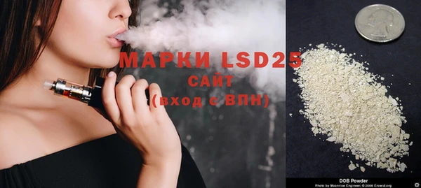 мет Инсар