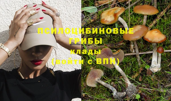 гидра Иннополис