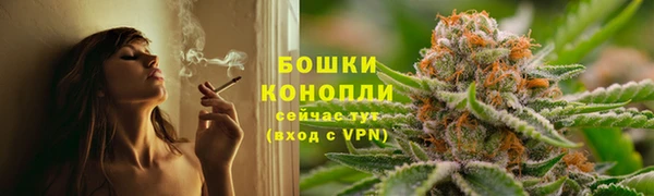 мет Инсар