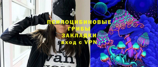 мет Инсар