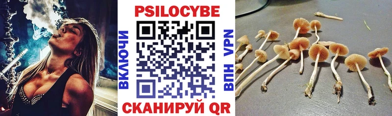 Галлюциногенные грибы мухоморы  сайты даркнета формула  Арзамас 